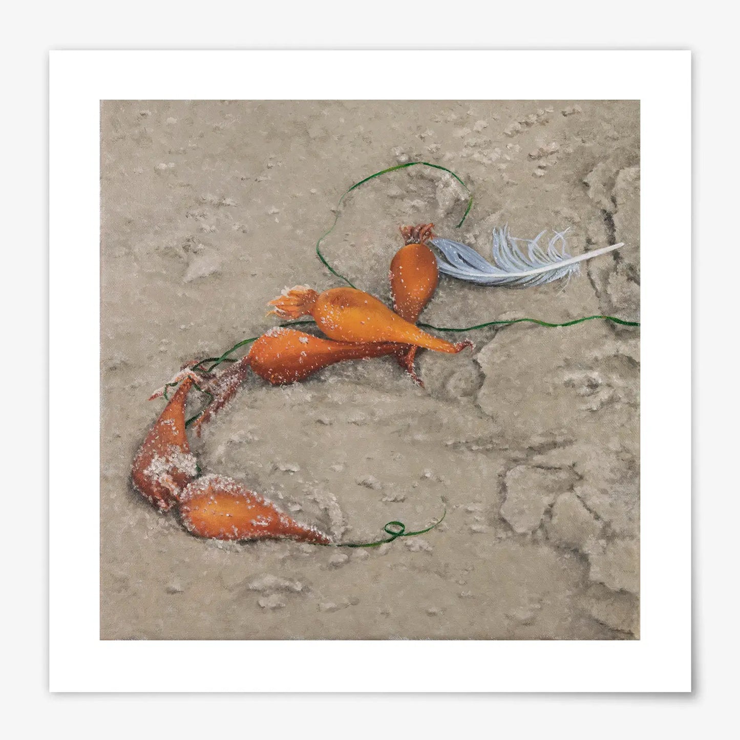 Feather and Kelp Bulbs - Fine Art Print