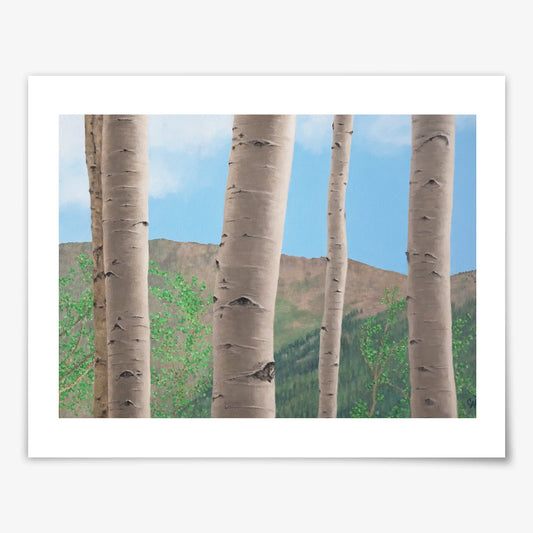 Five Aspens - Fine Art Print
