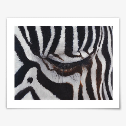 The Sad Zebra - Fine Art Print