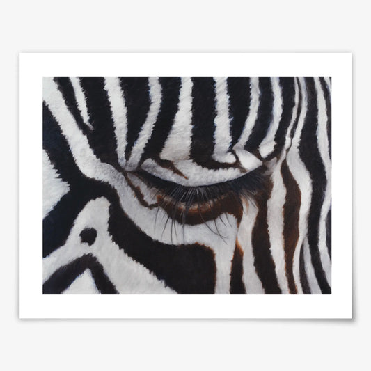 The Sad Zebra - Fine Art Print