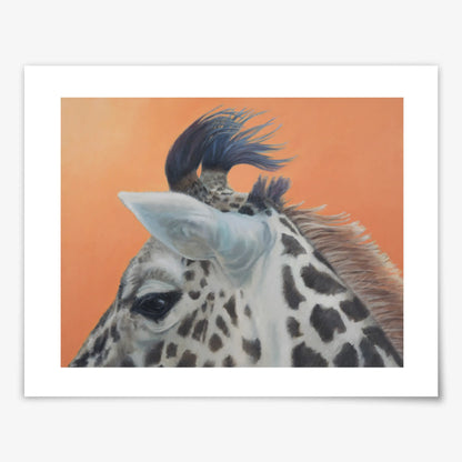 Baby Giraffe- Fine Art Print