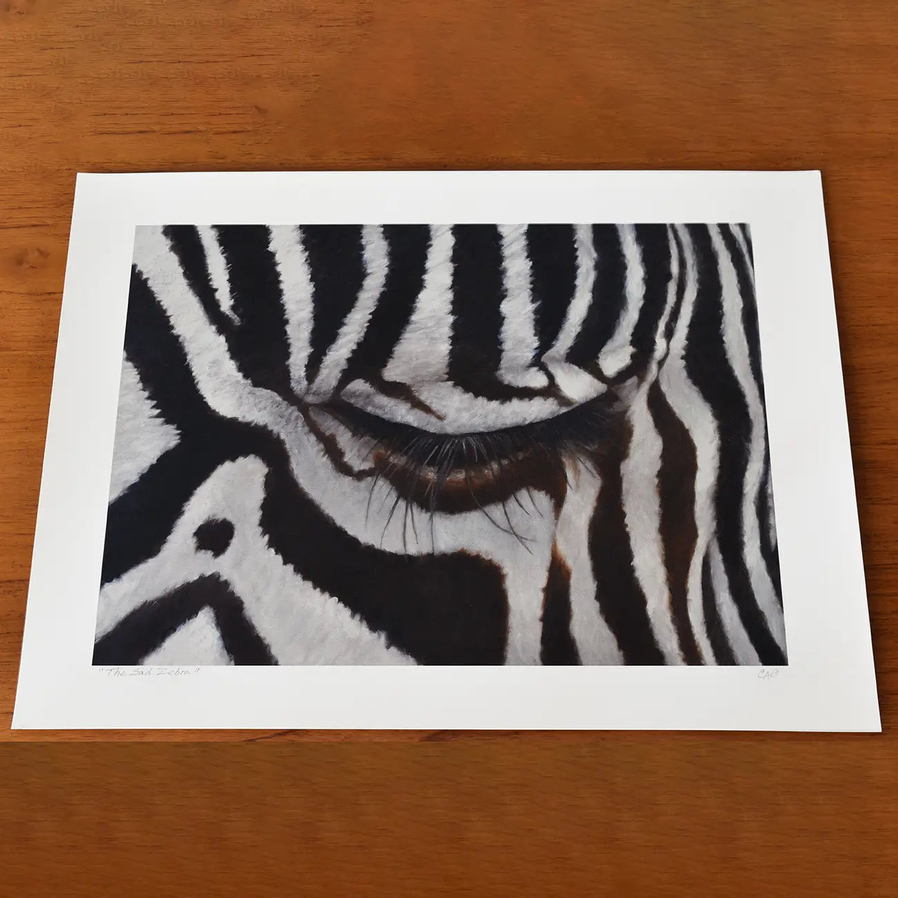 The Sad Zebra - Fine Art Print