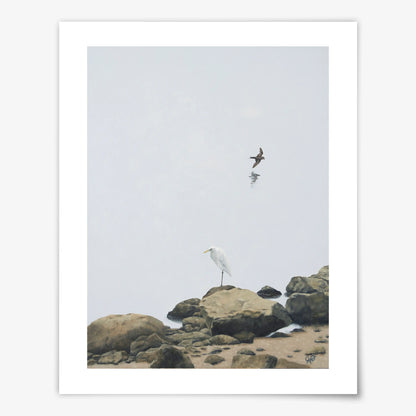 Lagoon Life - Fine Art Print