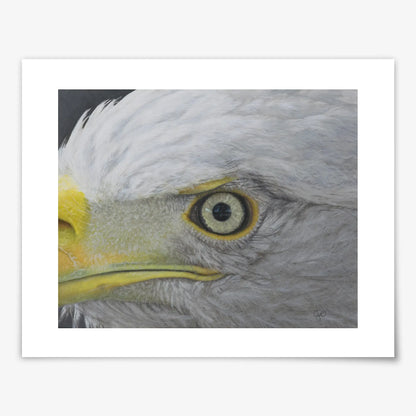 Eagle Eye - Fine Art Print