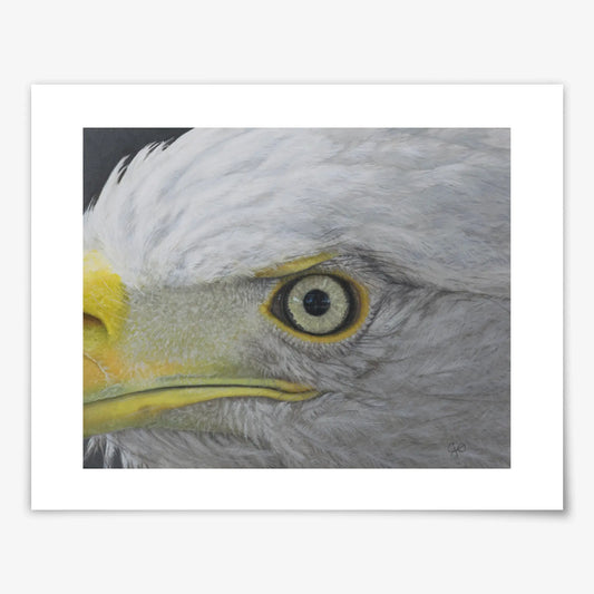 Eagle Eye - Fine Art Print