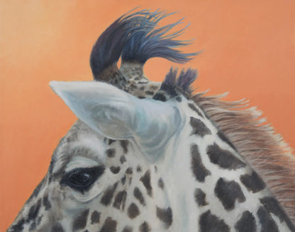 Baby Giraffe- Fine Art Print