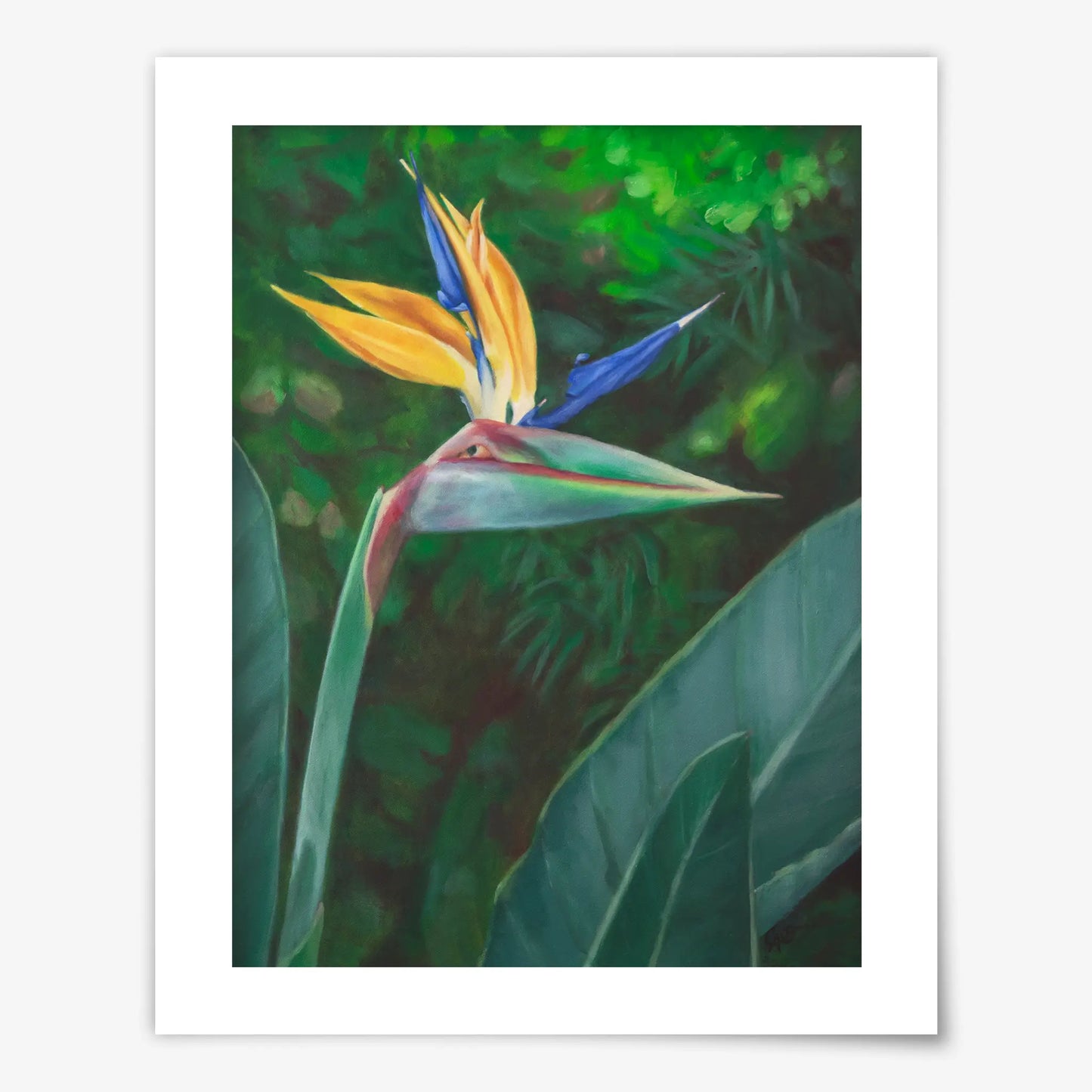 Bird no 1 - Fine Art Print