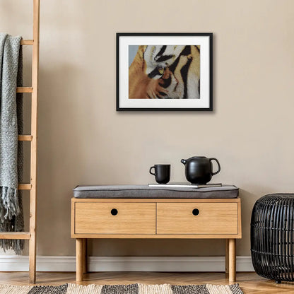 Tiger Eye - Fine Art Print