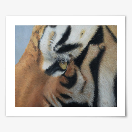 Tiger Eye - Fine Art Print